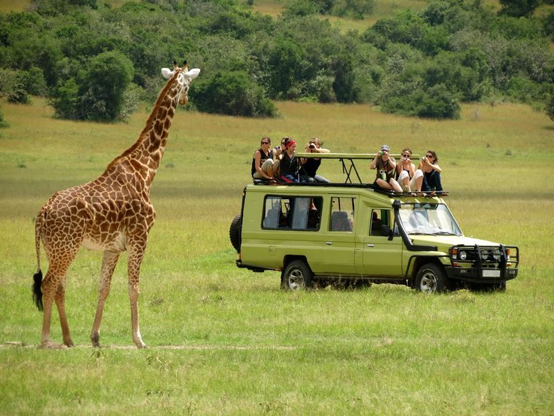 Arusha National Park Day Trip