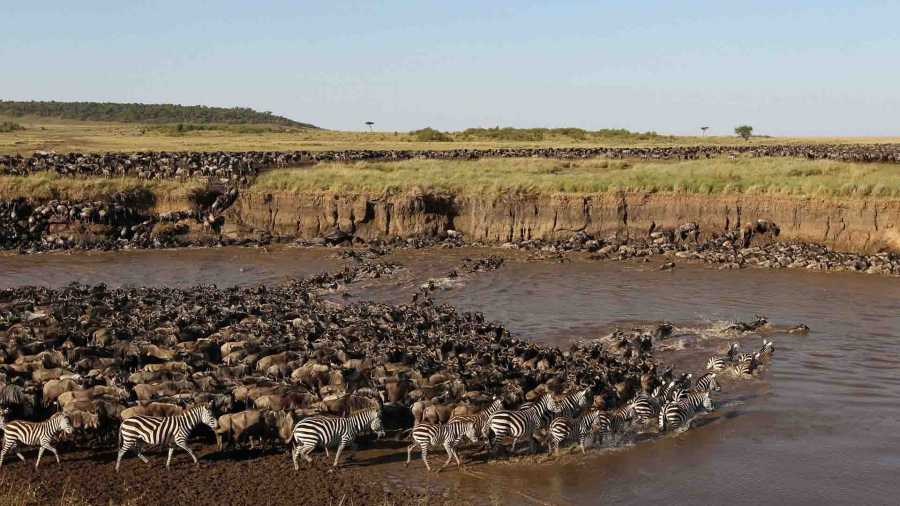 5 Days Tanzania Safari Serengeti Wildebeest Migration