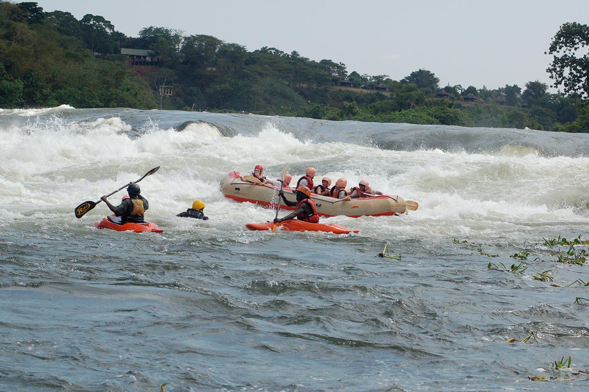 8-Day Day Trip Gorilla Trekking and Nile Rafting - Jinja