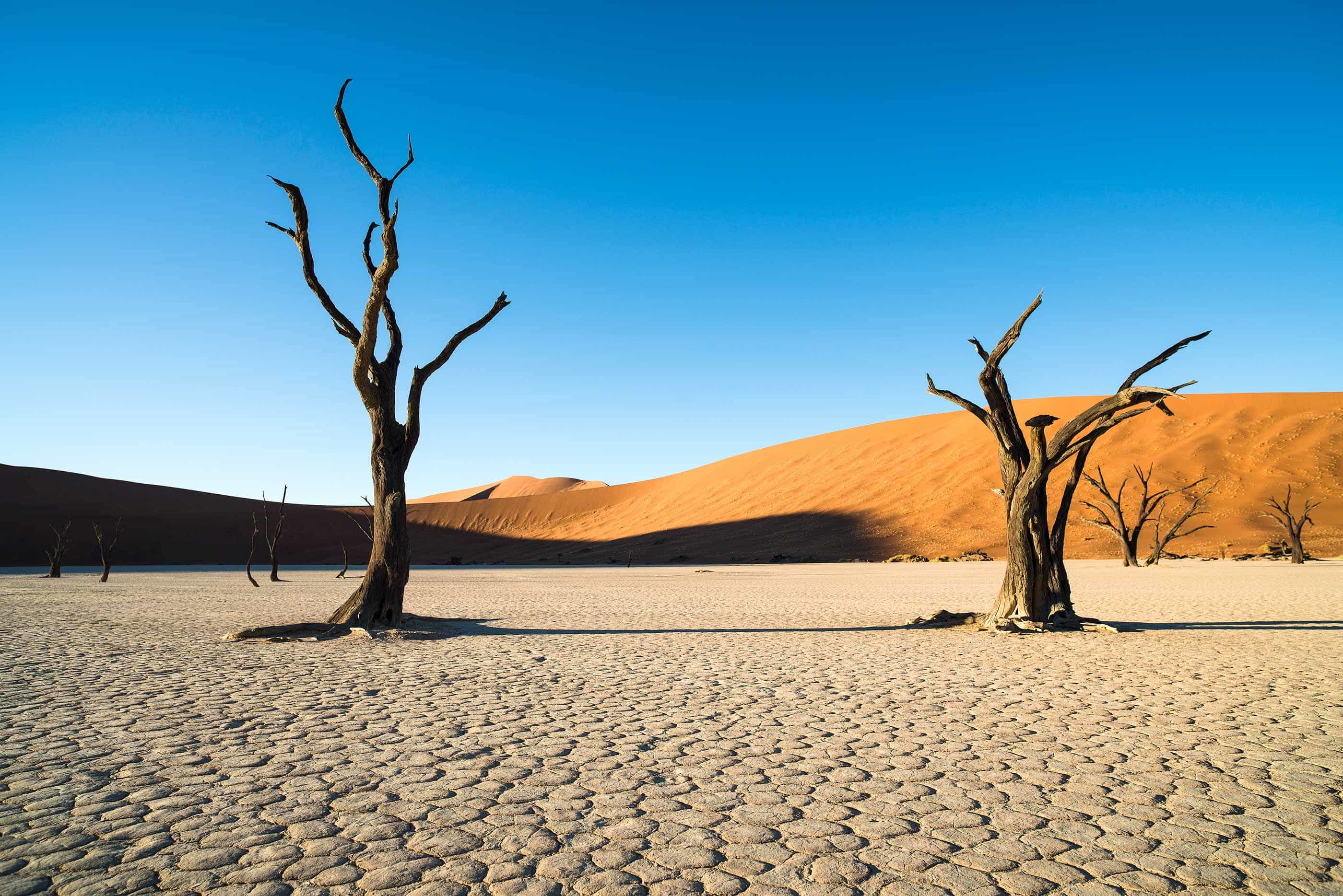 8-Day Classic Namibia Safari