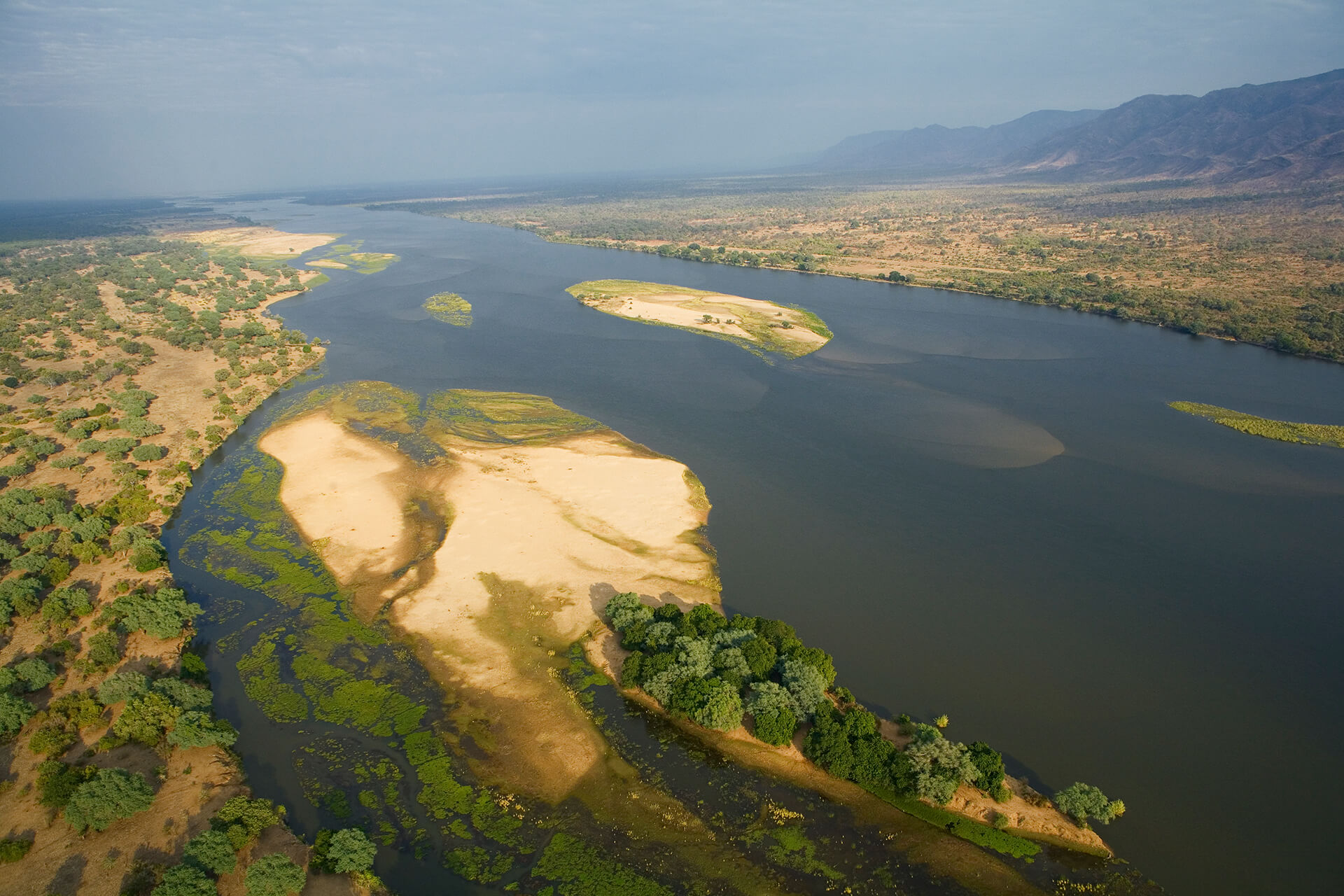 5-Day Mana Pools National Park Safari Experience