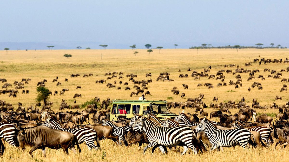 3 Days Tanzania Safari in Serengeti National Park.