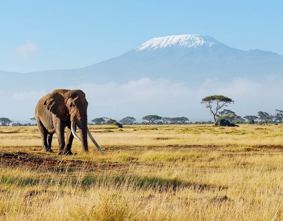 9 days 8 nights Kenya and Tanzania Safari