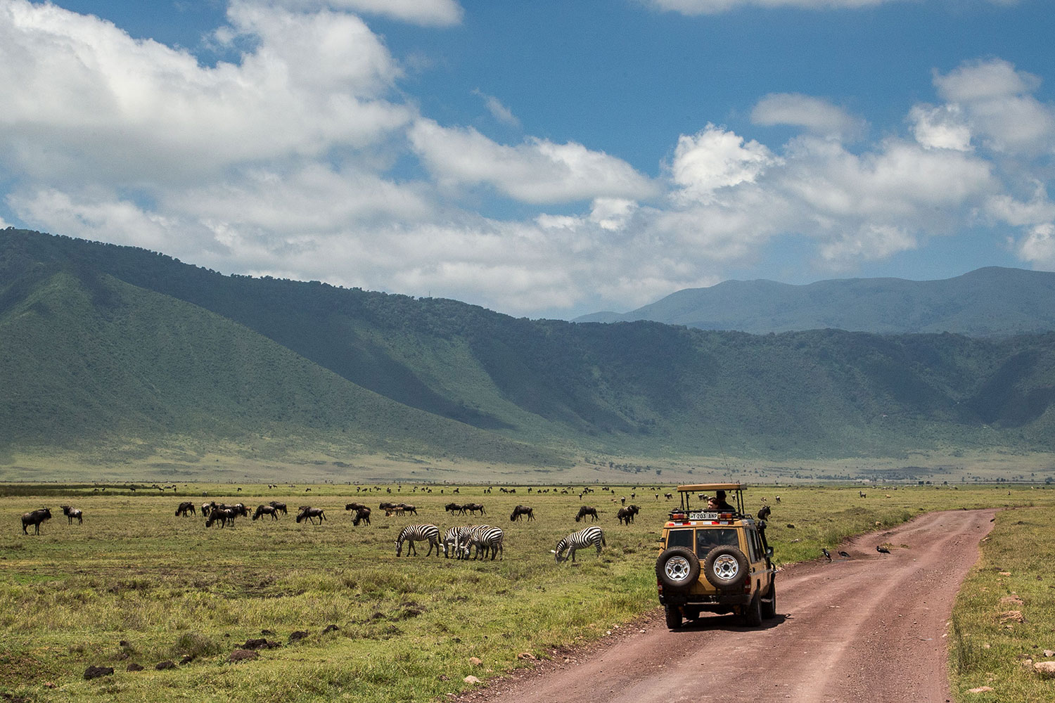 2 Days Tanzania Safari From Zanzibar - Tarangire and Ngorongoro Crater